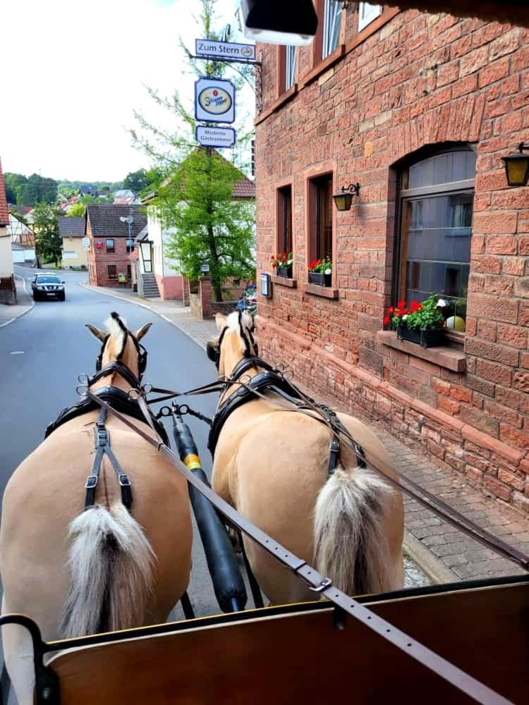 Pension Stern Rauenberg  Экстерьер фото
