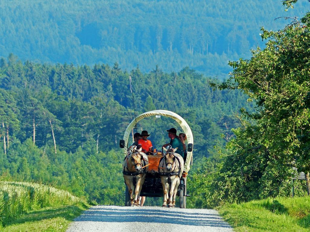 Pension Stern Rauenberg  Экстерьер фото