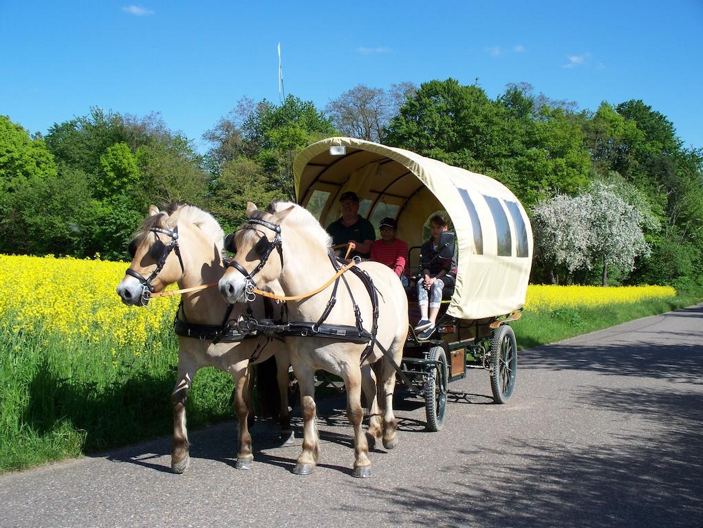 Pension Stern Rauenberg  Экстерьер фото