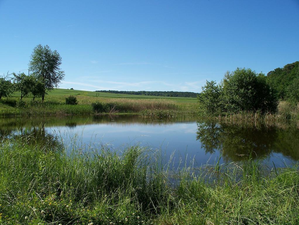 Pension Stern Rauenberg  Экстерьер фото
